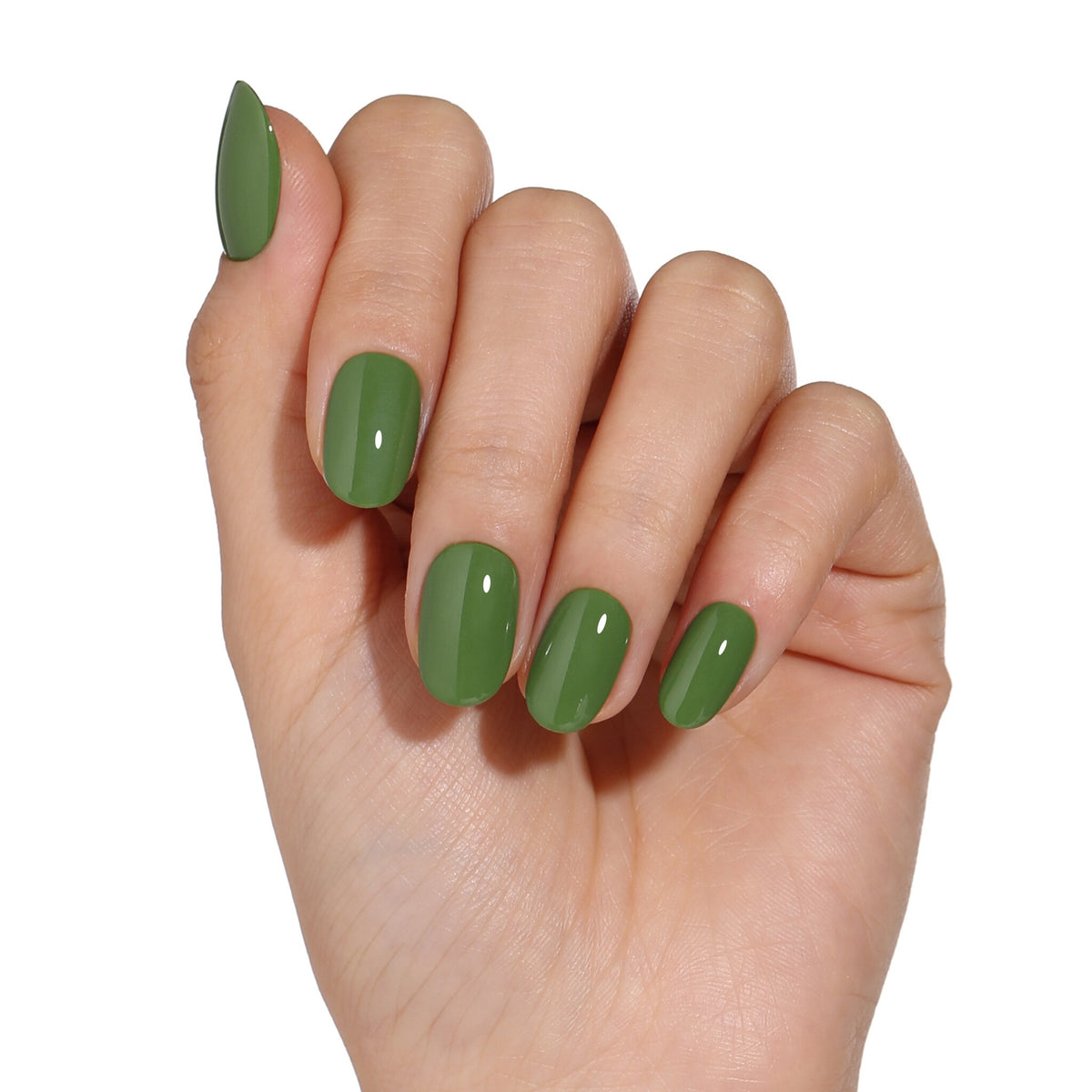 AW2208 EveryDay Chic - Blueskygellak.nl
