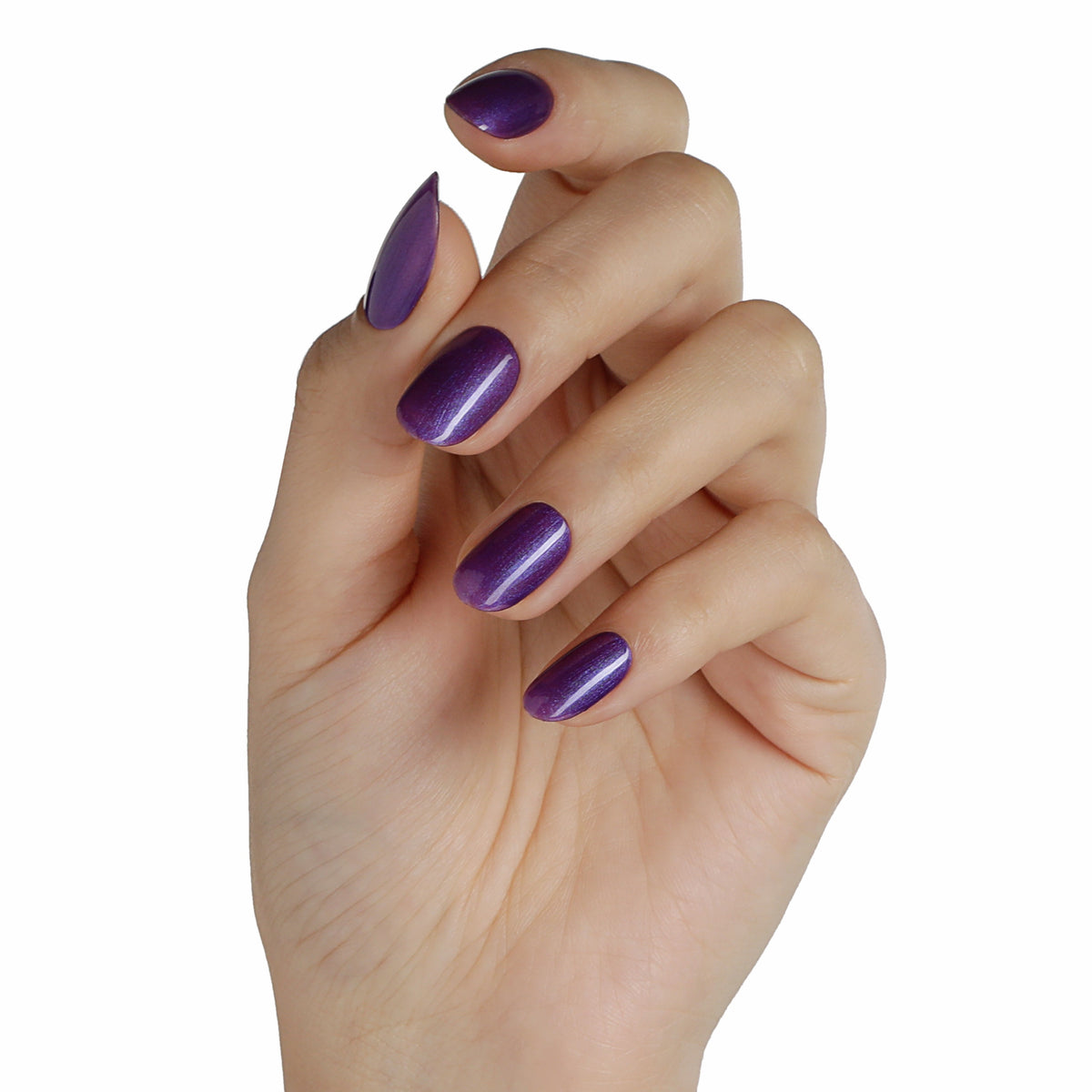 80530 Purple Purple