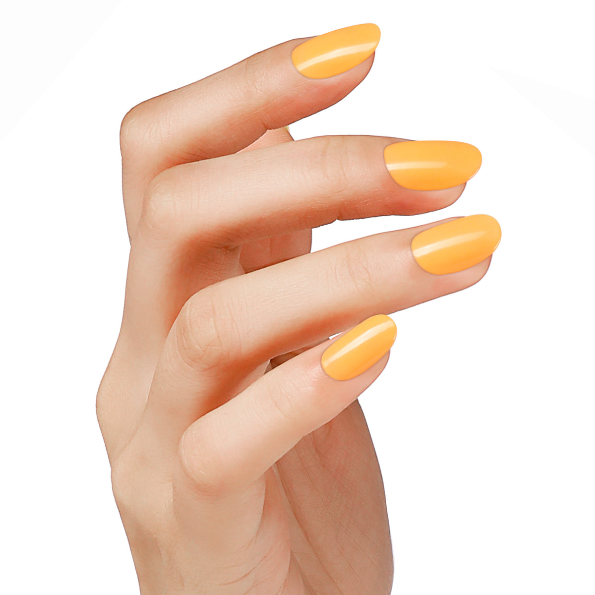 SS2420 Caramel Fusion