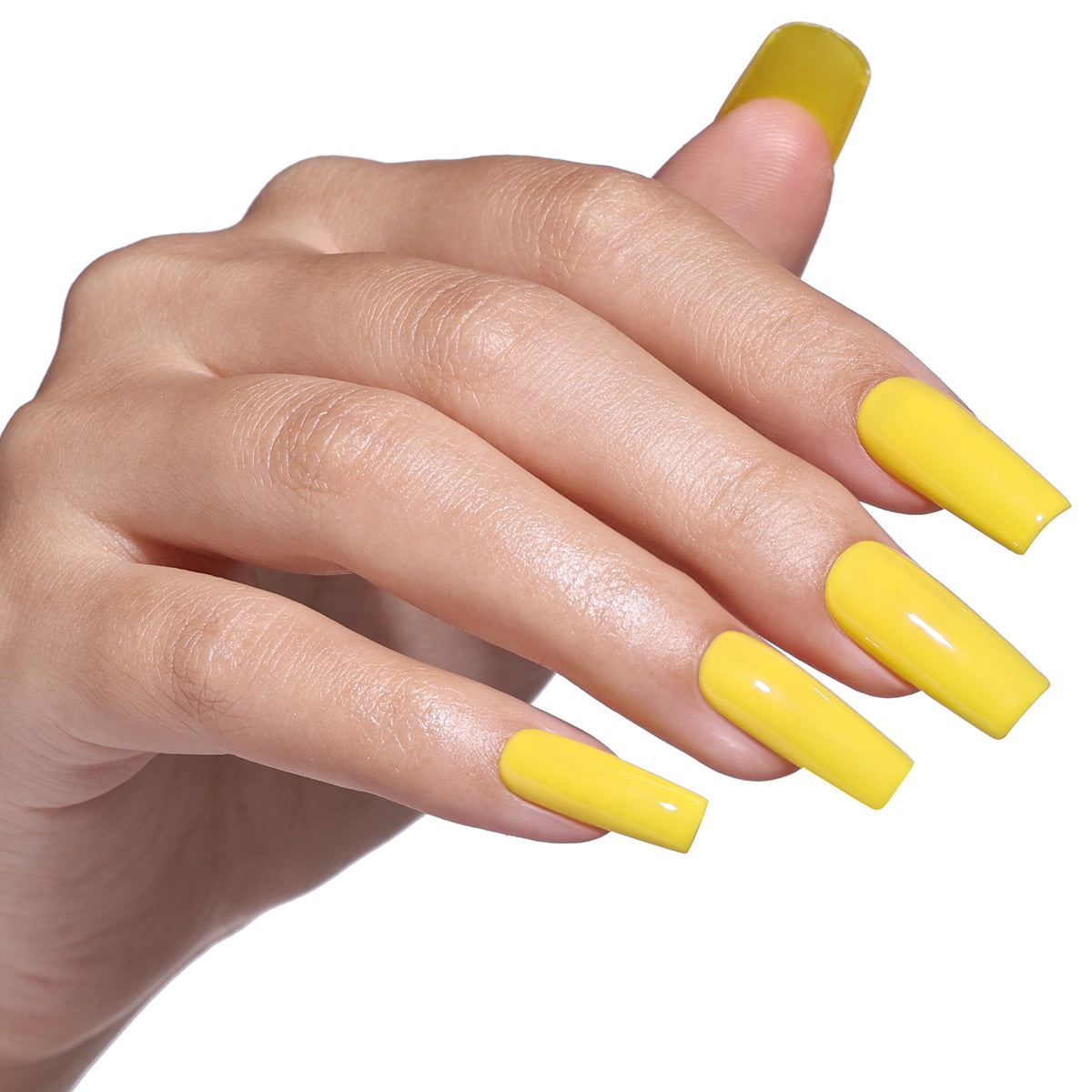 SS2616 Sunflower Petal