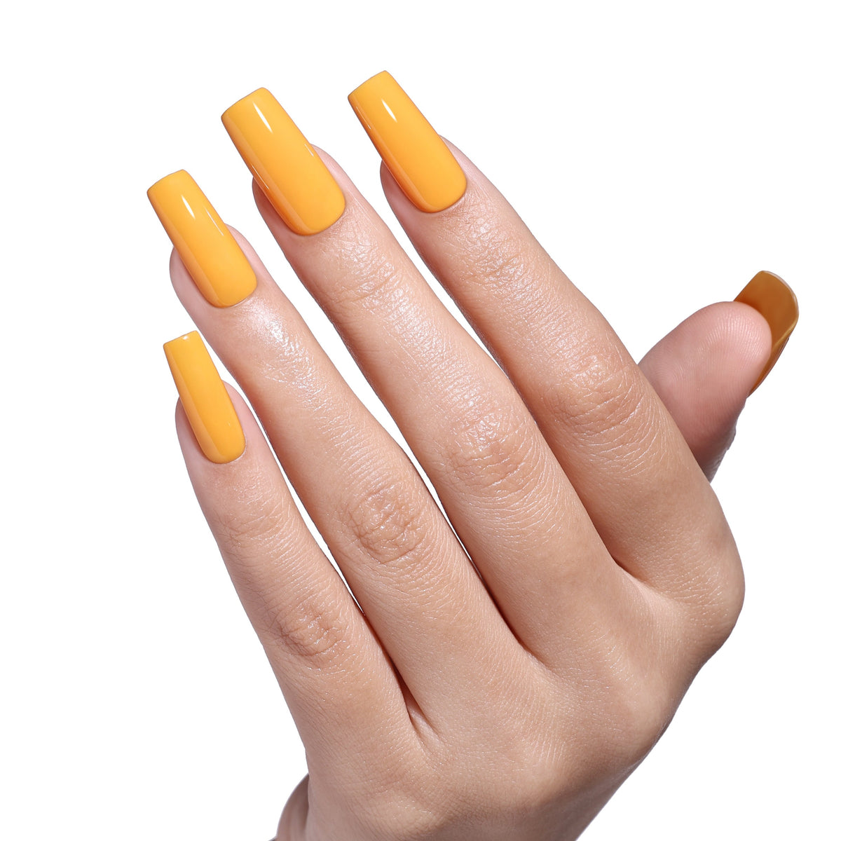SS2617 Sunburst