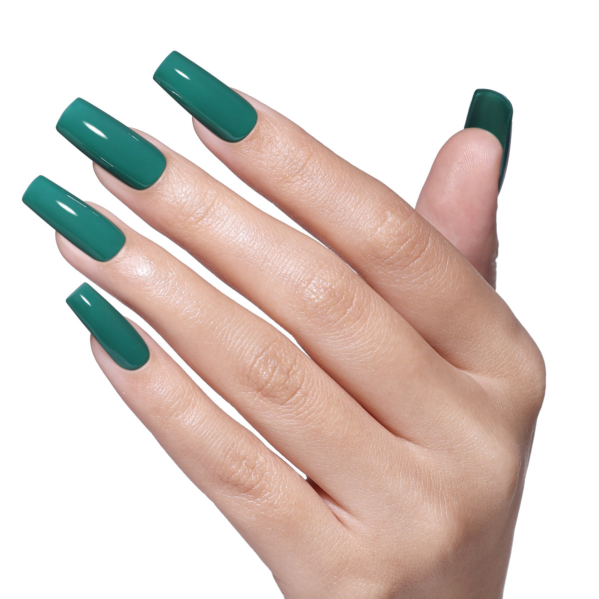 SS2619 Midnight Palm
