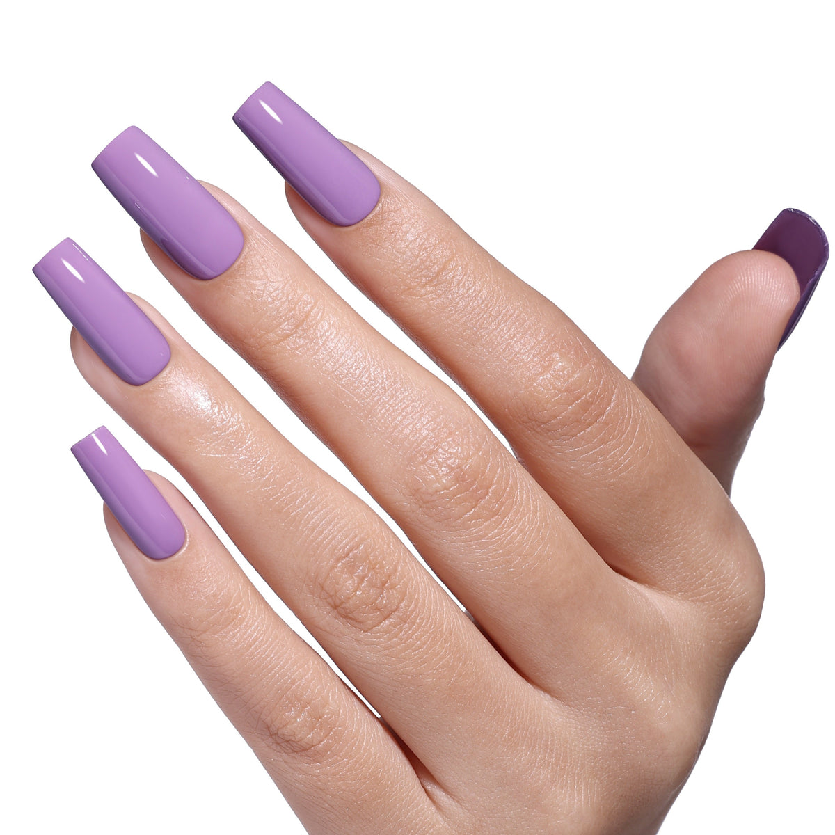 SS2621 Grape Milkshake