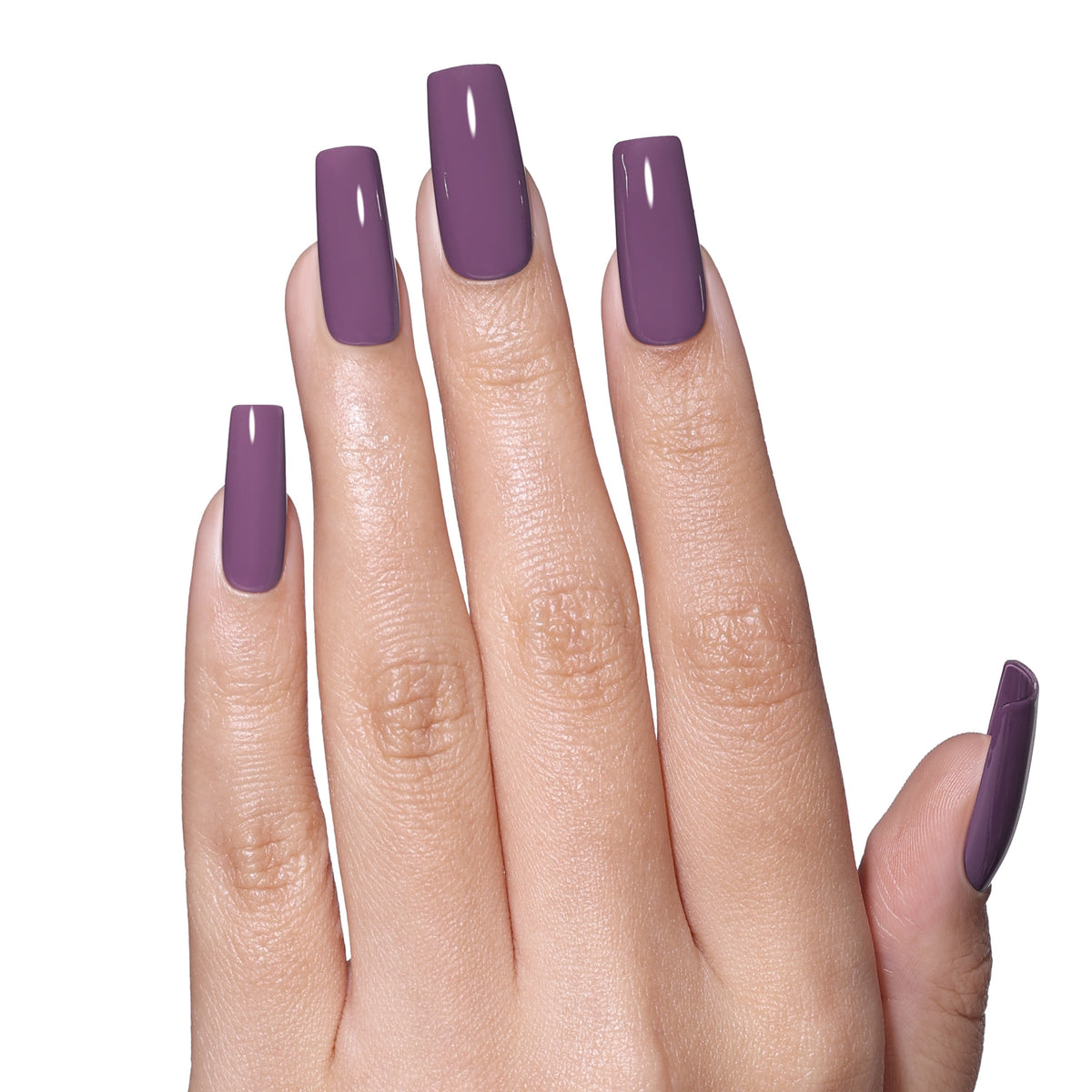 SS2623 Deep Berry
