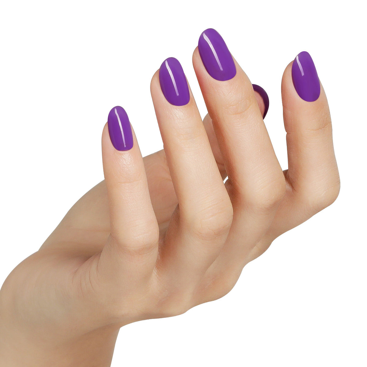 AW2401 Soft Amethyst