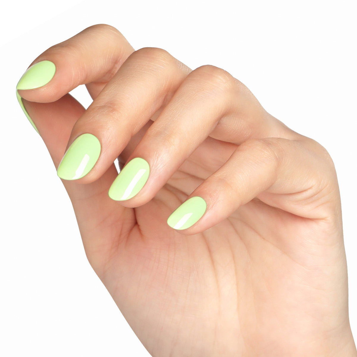 AW2402 Mint Harmony