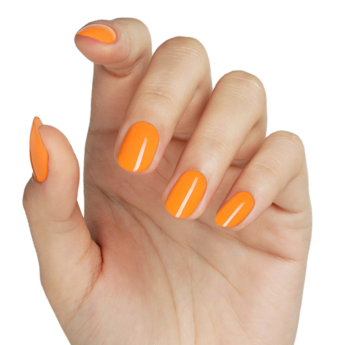 AW2404 Peachy Crush
