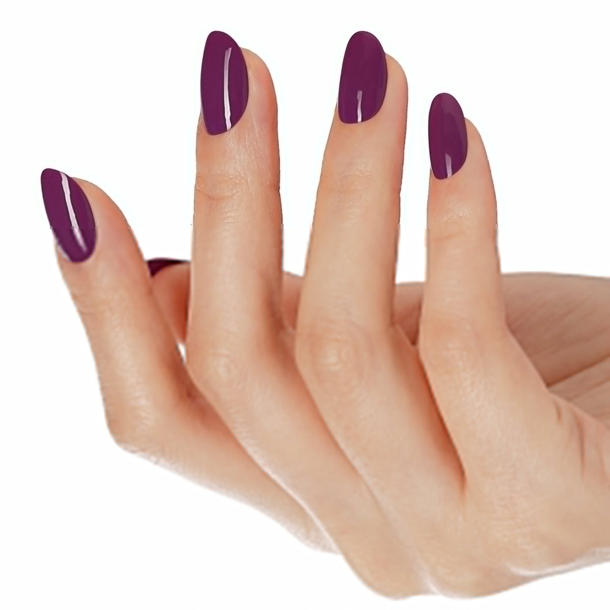 AW2409 Velvet Plum