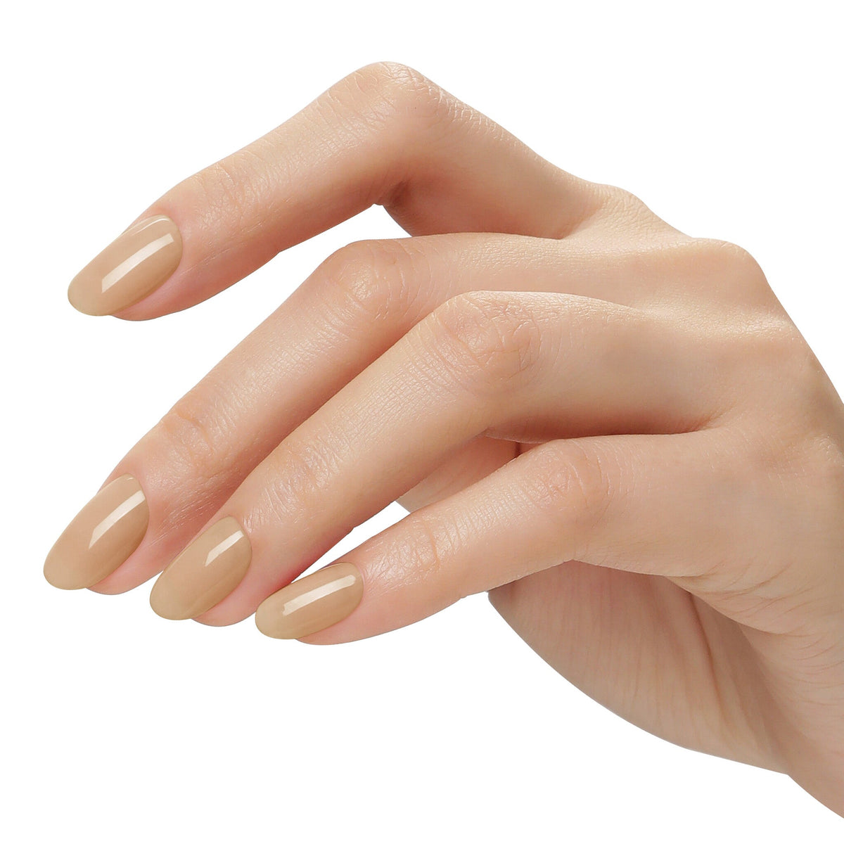 AW2411 Creamy Serenity