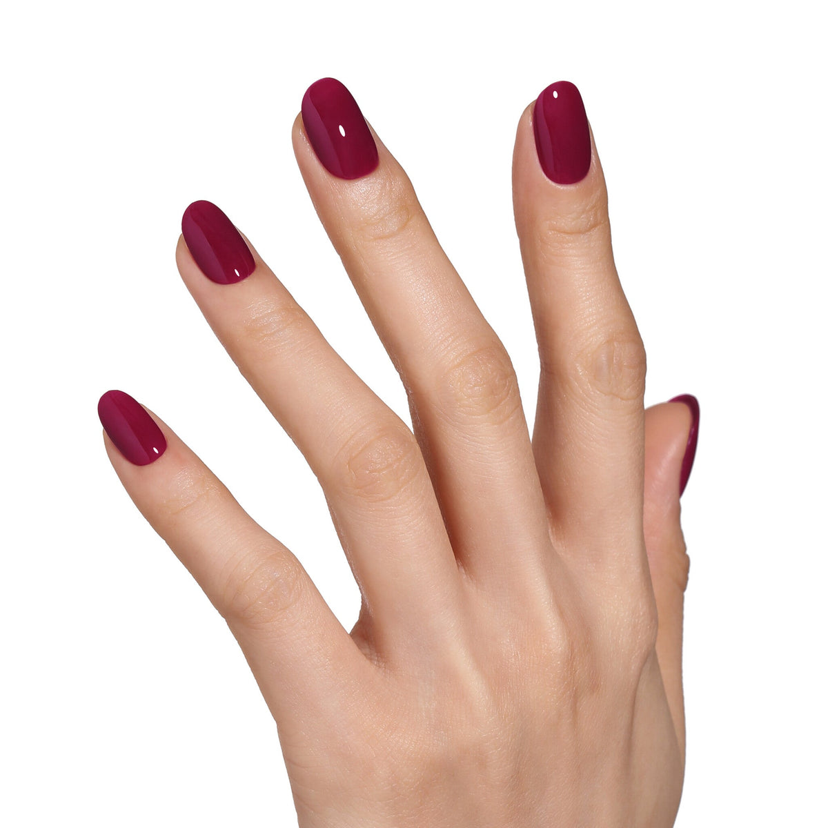 AW2413 Berry Elixer