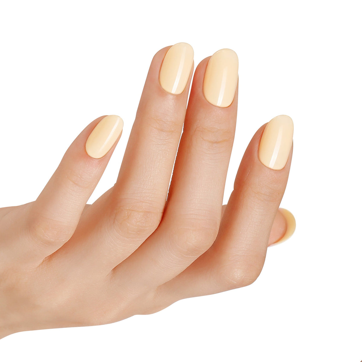 AW2416 Creamy Bliss