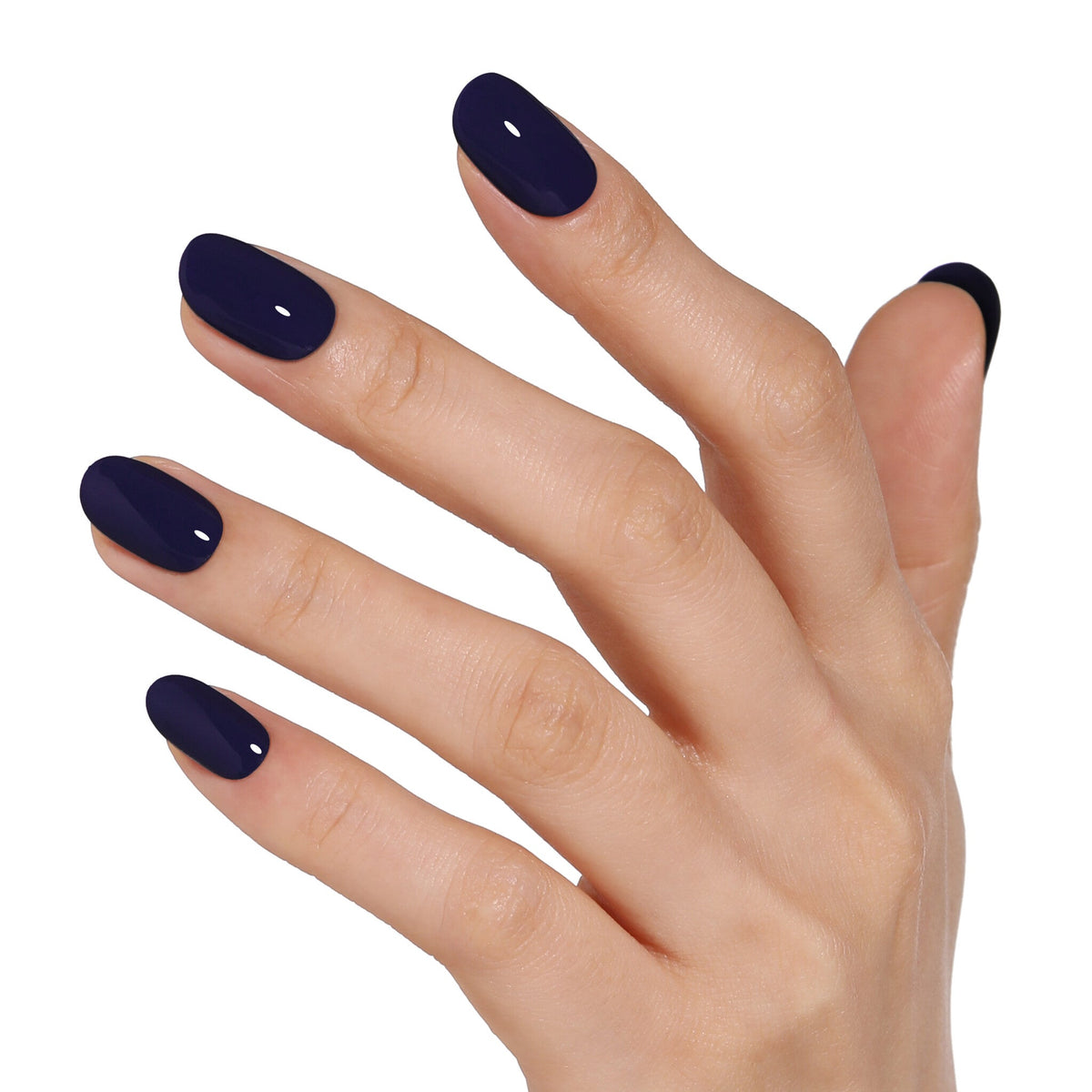 AW2418 Midnight Serenade