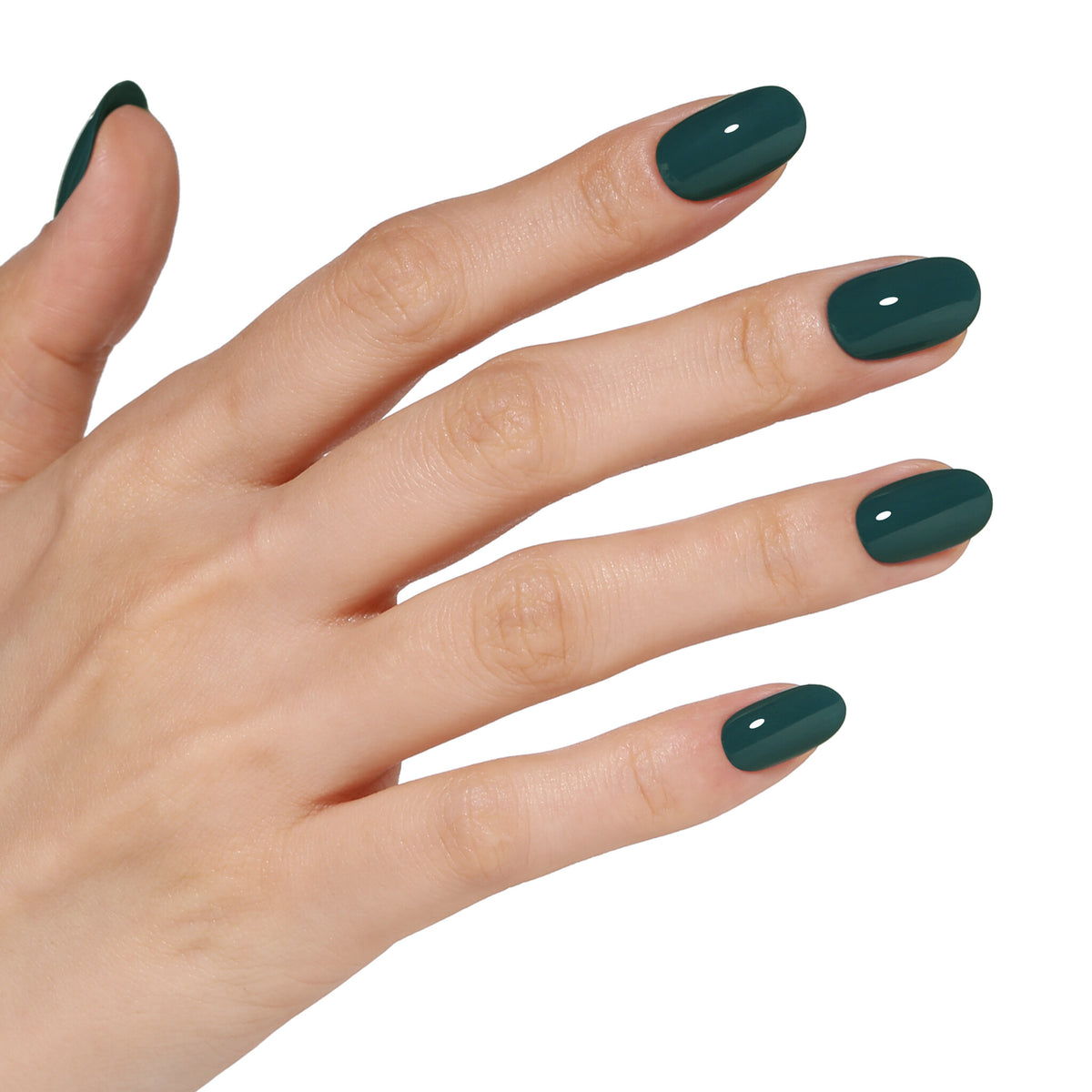 AW2420 Mystic Emerald - Blueskygellak.nl
