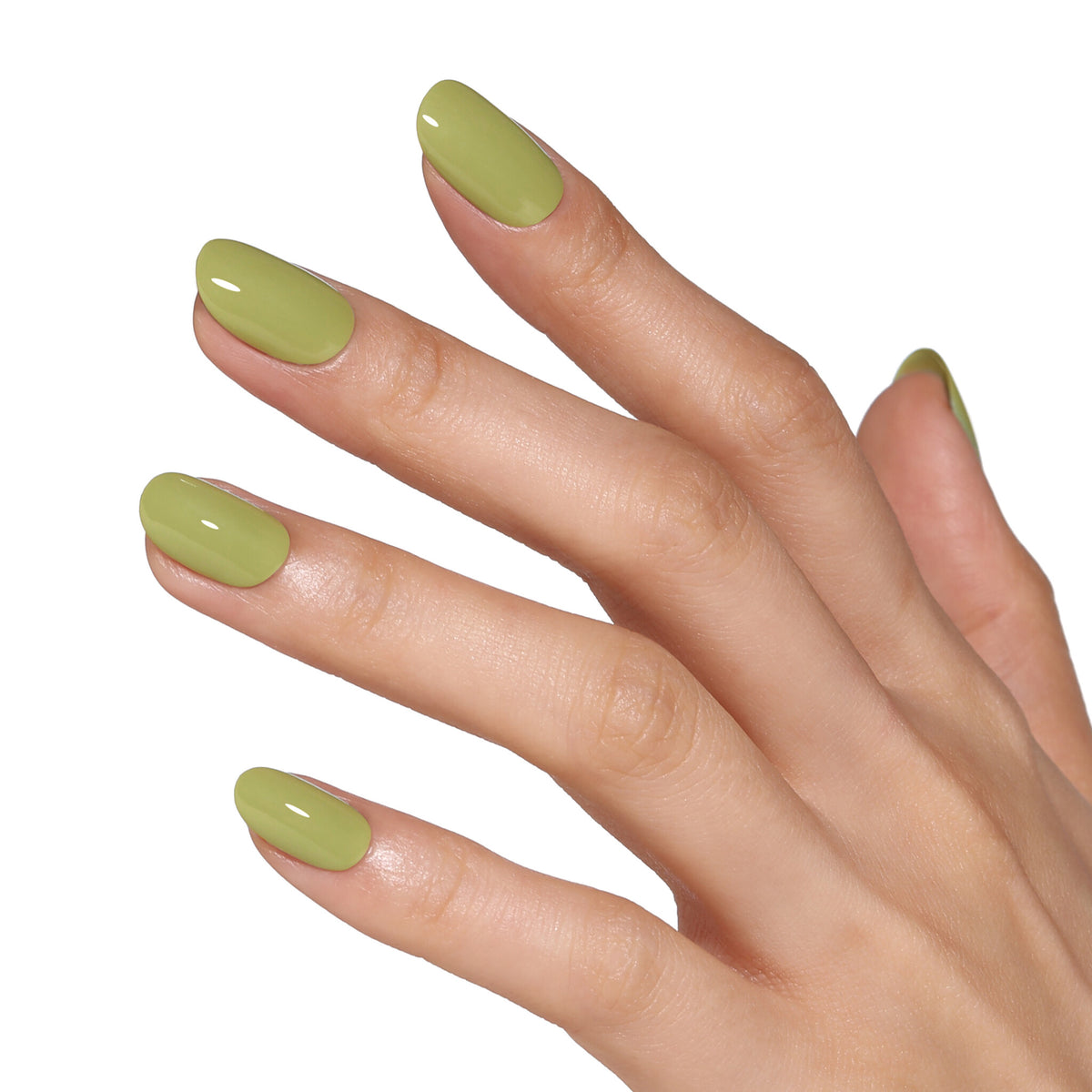 AW2421 Olive Hush - Blueskygellak.nl
