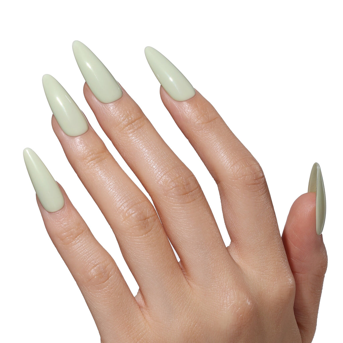 AW2509 Gentle Grass - Blueskygellak.nl